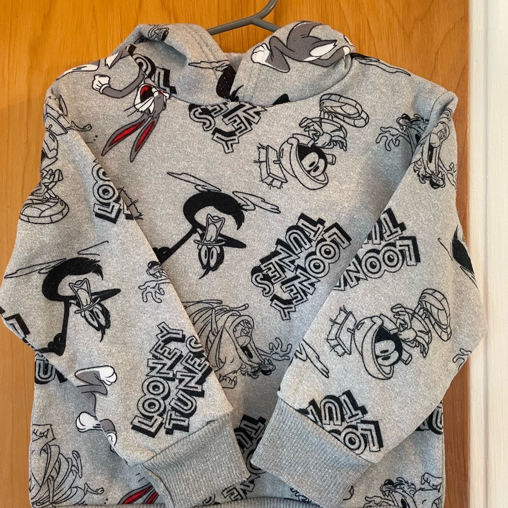 4T Warner Bros. Looney Tunes Gray Kids Hoodie
